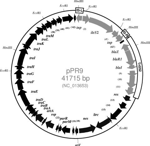 FIG. 1.