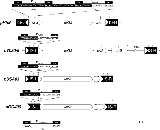 FIG. 3.