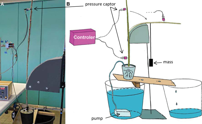 Fig. 3.