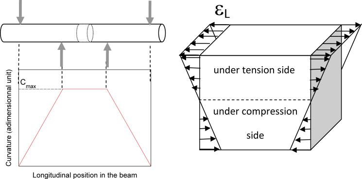 Fig. 2.