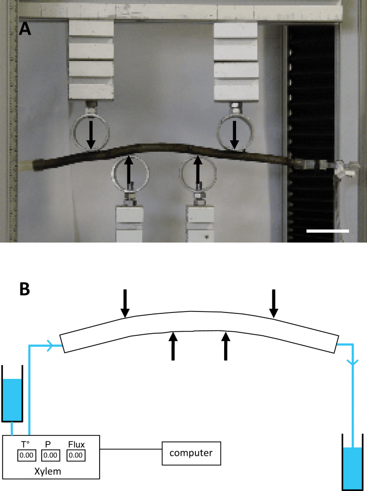 Fig. 1.