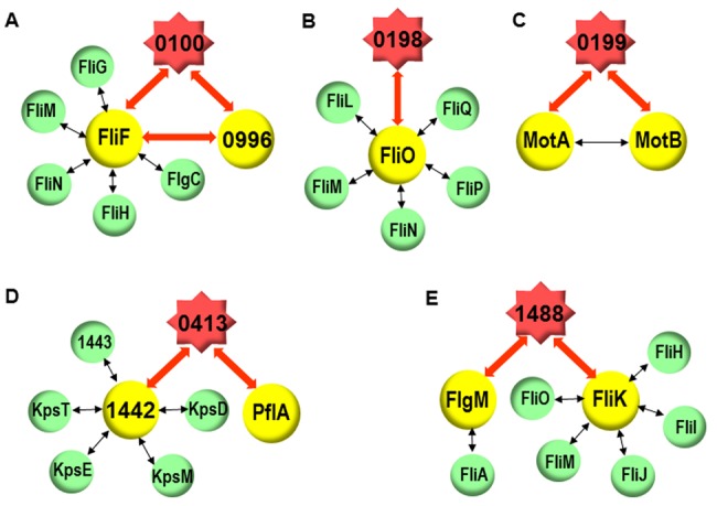 FIG 7 