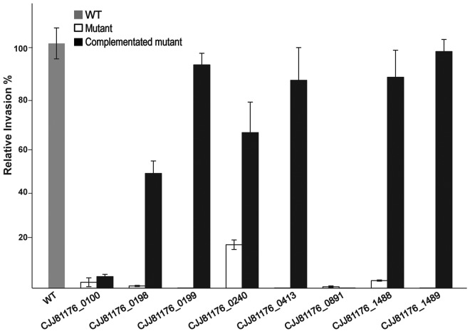 FIG 2 