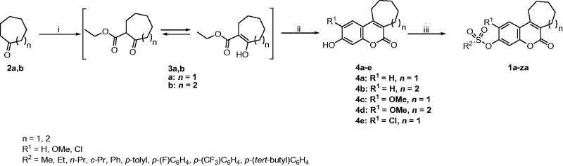 Scheme 1.