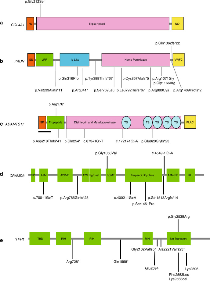 Fig. 3