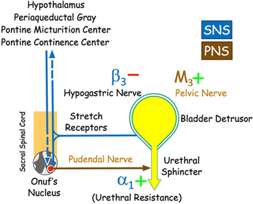 Figure 7.