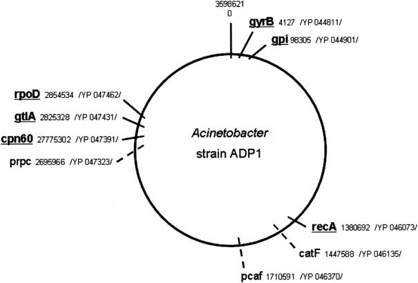 FIG. 2.