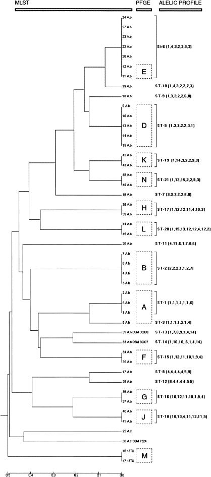 FIG. 1.