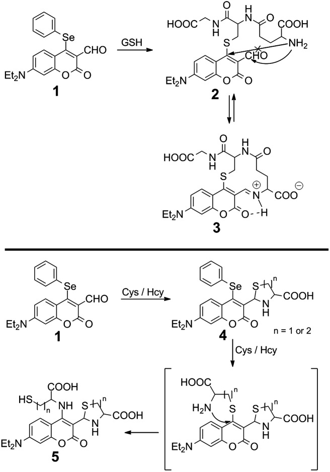 Scheme 1