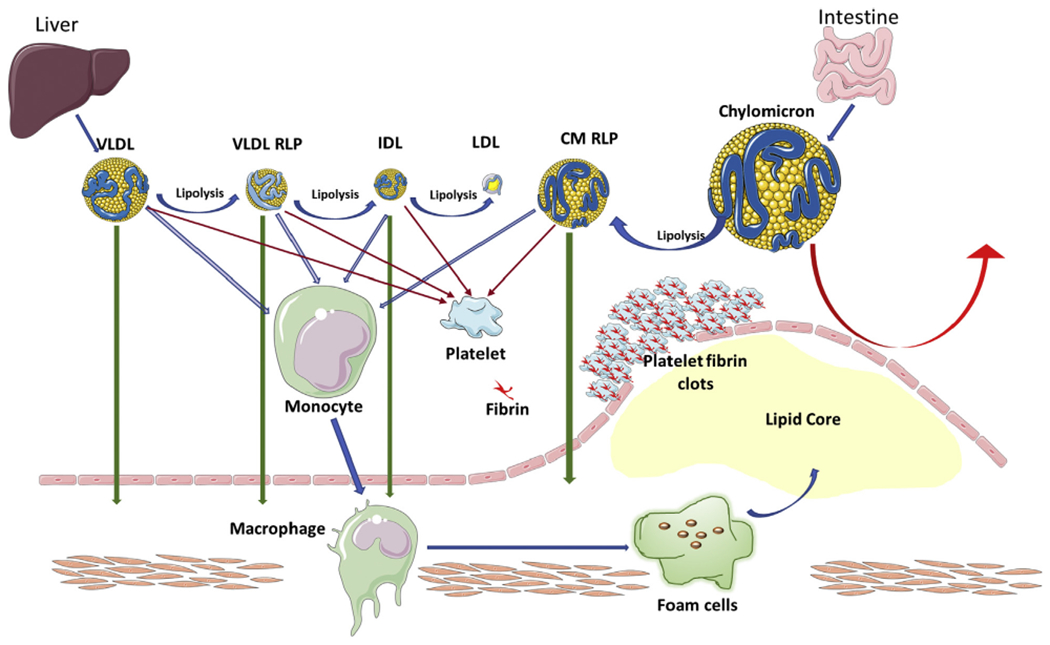 FIGURE 3