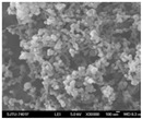 graphic file with name nanomaterials-13-03125-i013.jpg