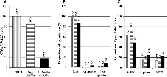 Figure 5.