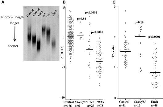 Figure 4.