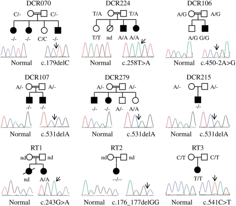 Figure 2.