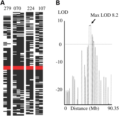 Figure 1.