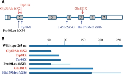 Figure 3.