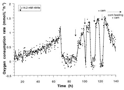 FIG. 7