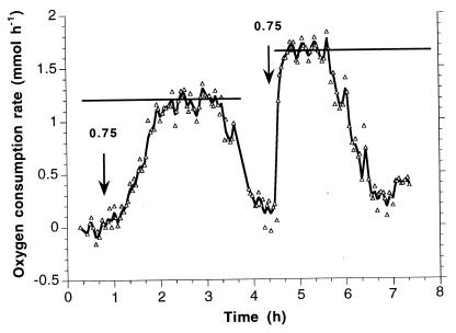 FIG. 6