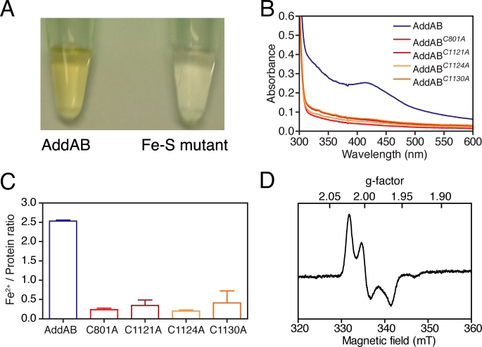 FIGURE 2.