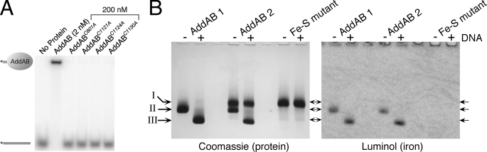 FIGURE 5.