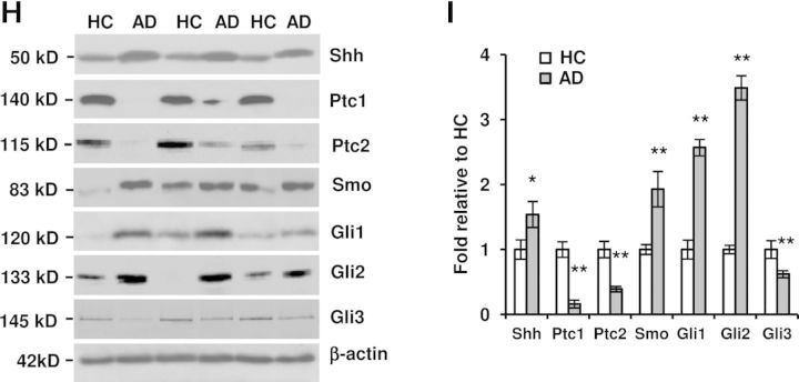 Figure 2.