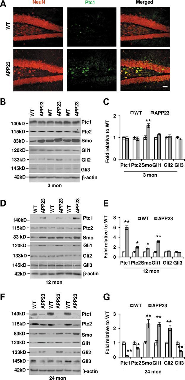 Figure 2.