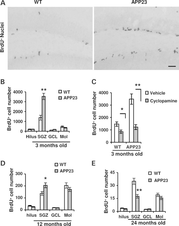 Figure 4.