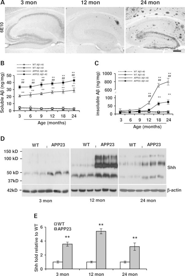 Figure 1.