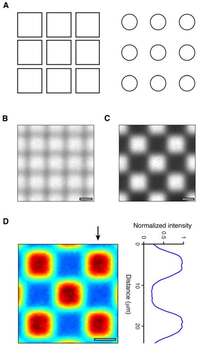 Fig. 2