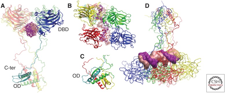 Figure 2.