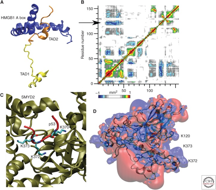 Figure 6.