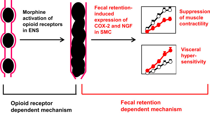 Figure 9.