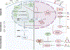Figure 5: