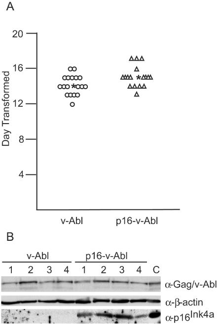 FIG. 5.