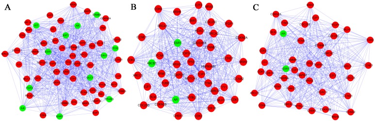 Figure 3.