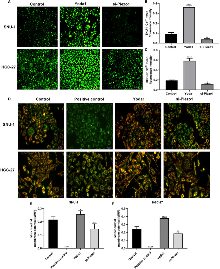 FIGURE 3