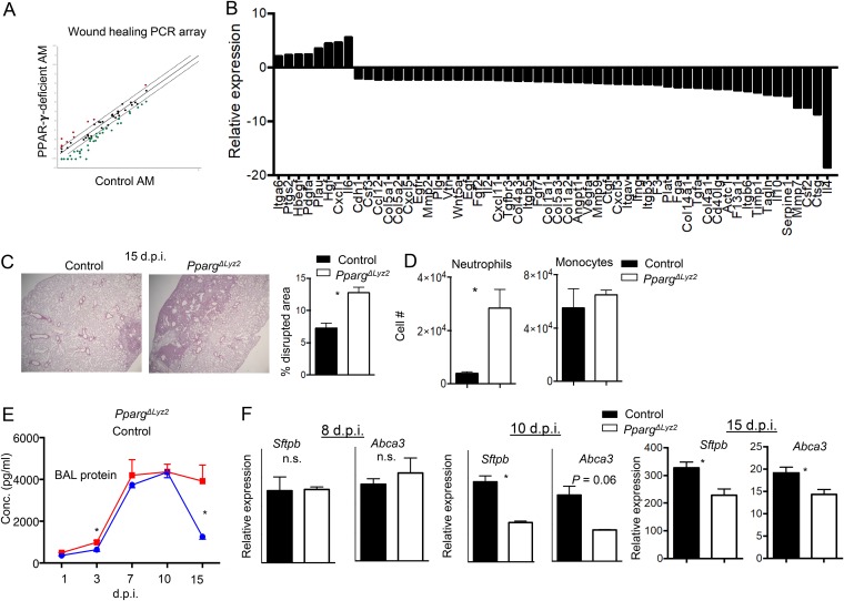 FIG 6