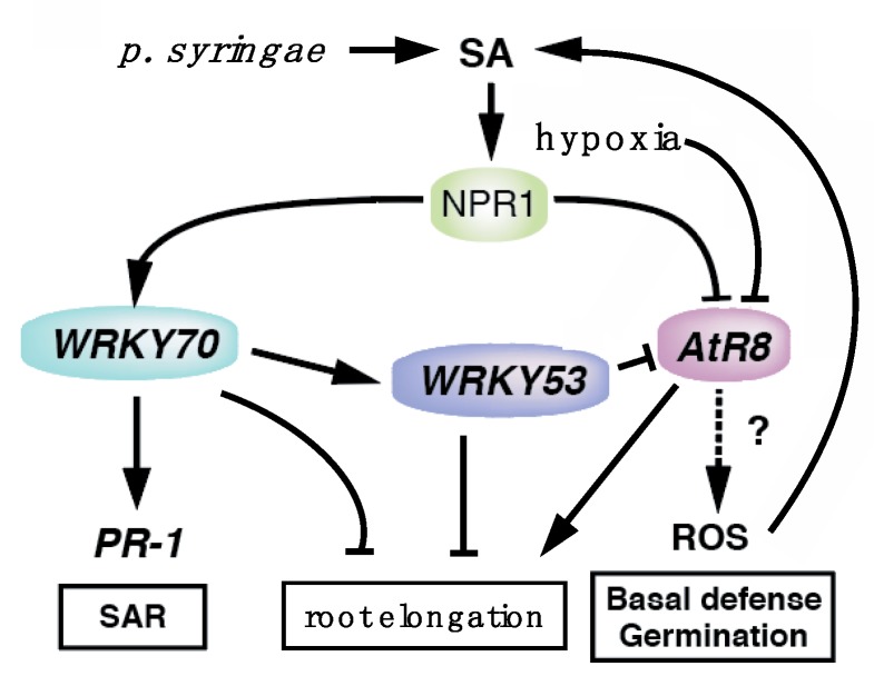 Figure 9