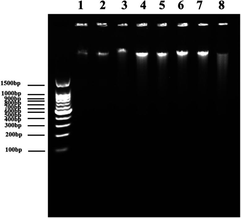 Fig. 11