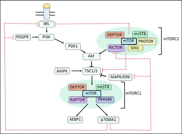 Fig. 12