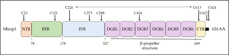 Fig. 7