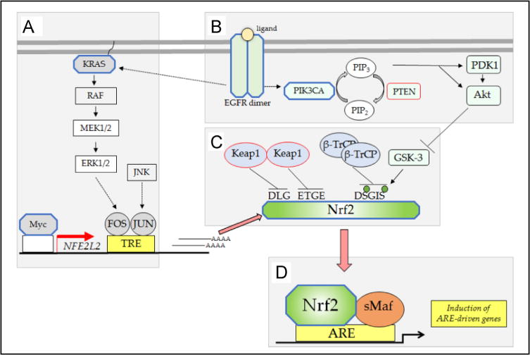 Fig. 14