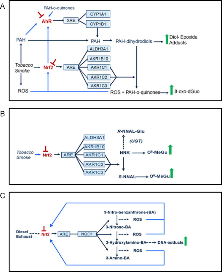 Fig. 15