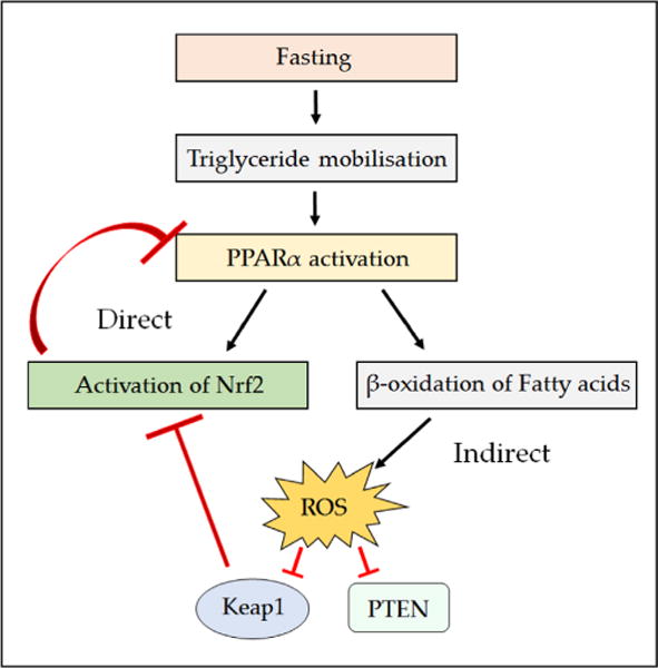 Fig. 13