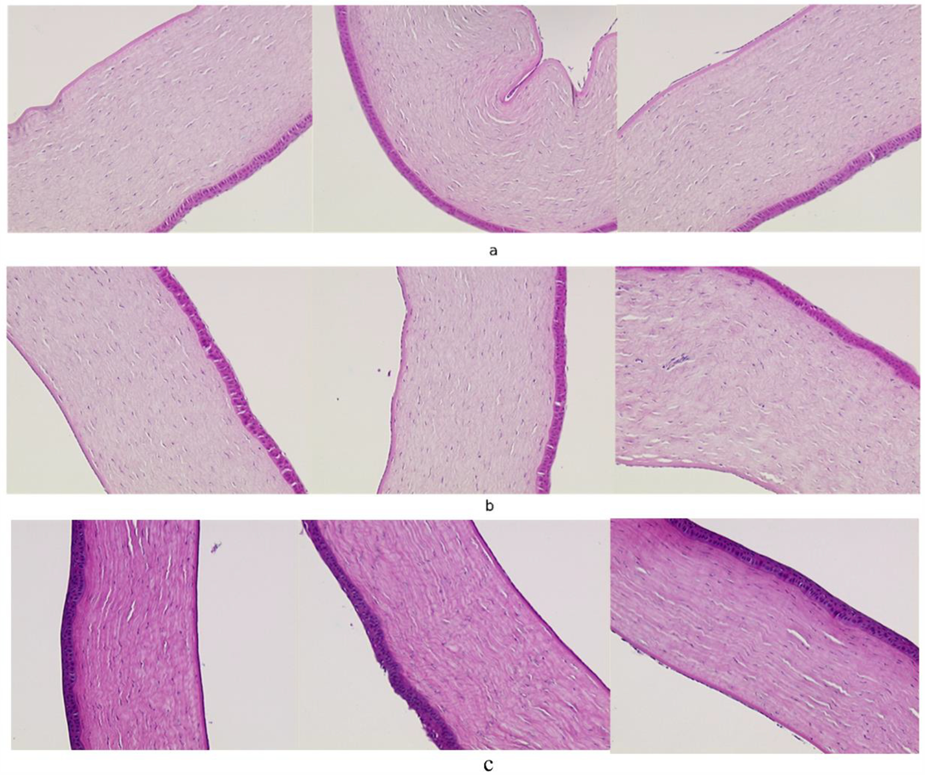 Figure 6: