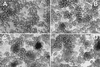 FIG. 5