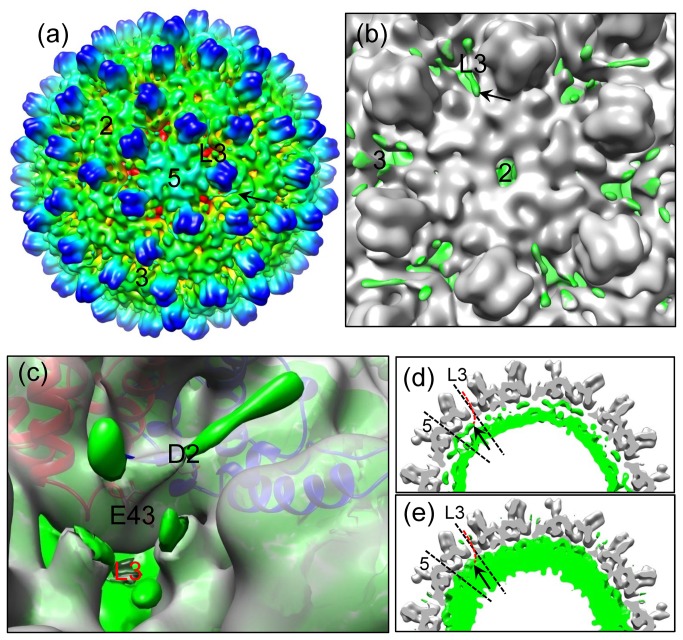 Figure 5