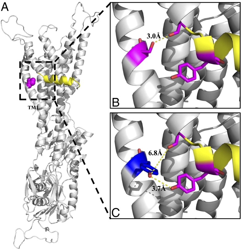 Fig. 4.