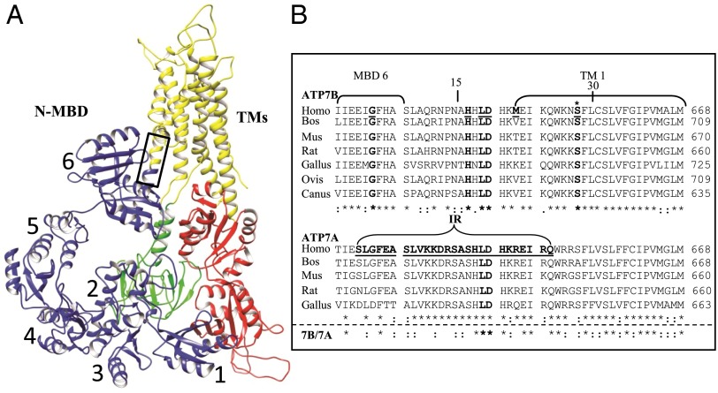 Fig. 1.