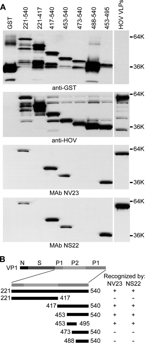 FIG 2